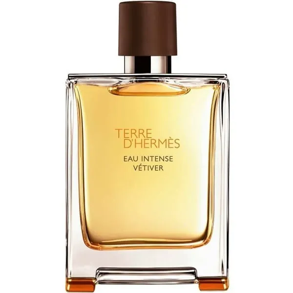 Hermes – Terre D`Hermes EDT 100 ml